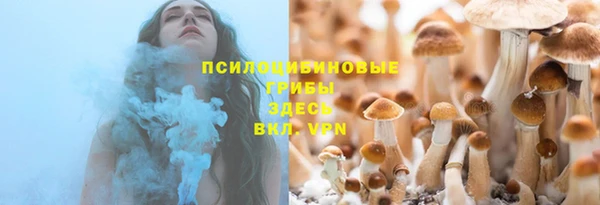винт Аркадак