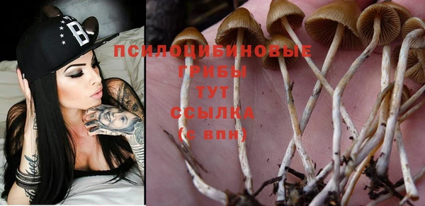 марки nbome Арсеньев