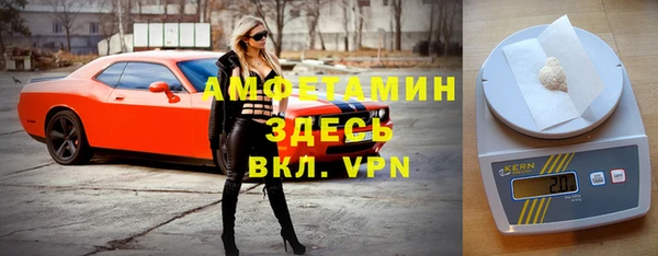 винт Аркадак