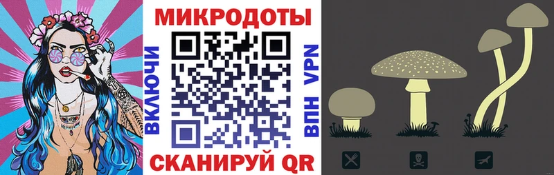 Псилоцибиновые грибы Cubensis  сколько стоит  Байкальск 
